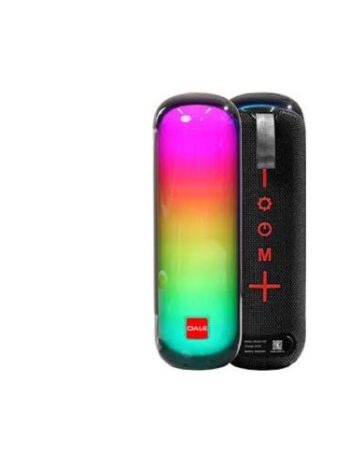 Portable Bluetooth Speaker (iStudio 100)