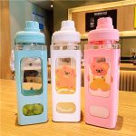 700ml Water Bottle