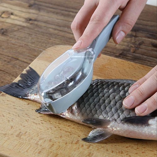 1724757384_1666862291_fish.jpg 1724757384 1666862291 fish