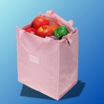 Large Capacity Lunch Bag
