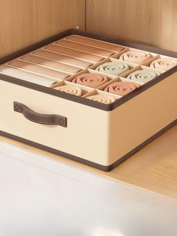 Partitioned Closet Organizer
