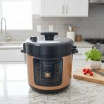6L Electric Pressure Cooker PC03
