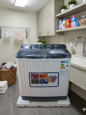 8Kg Top Load Twin Tub Washing Machine