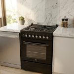 Bj’s 3 Gas+1 Electric Plate 60by60 Free Standing Cooker- Black (Eminence)