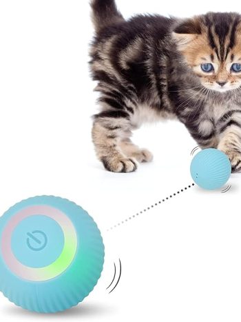 Smart Interactive Cat Toy Ball USB Rechargeable | Kisasahome Kenya